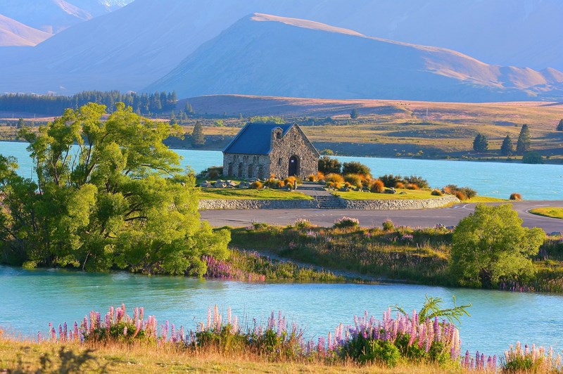 New Zealand Travel Guide