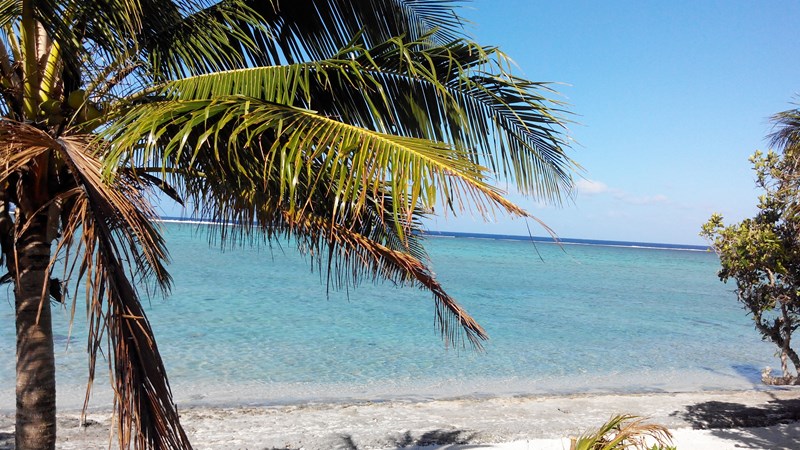 Fiji Travel Guide