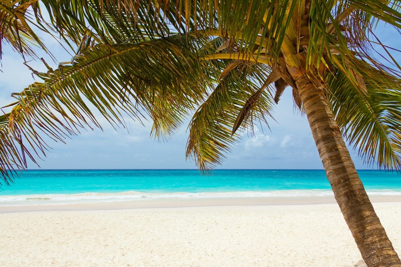 New Caledonia Travel Guide