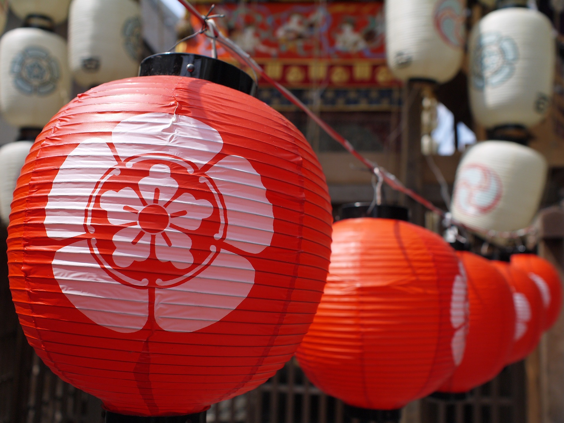 japanese lantern hanging