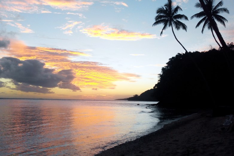 Beautiful sunset on Fiji island beach with palm trees