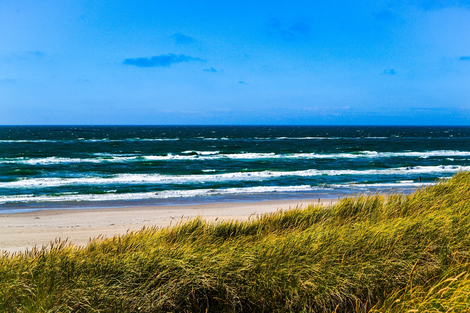 beach in denmark
