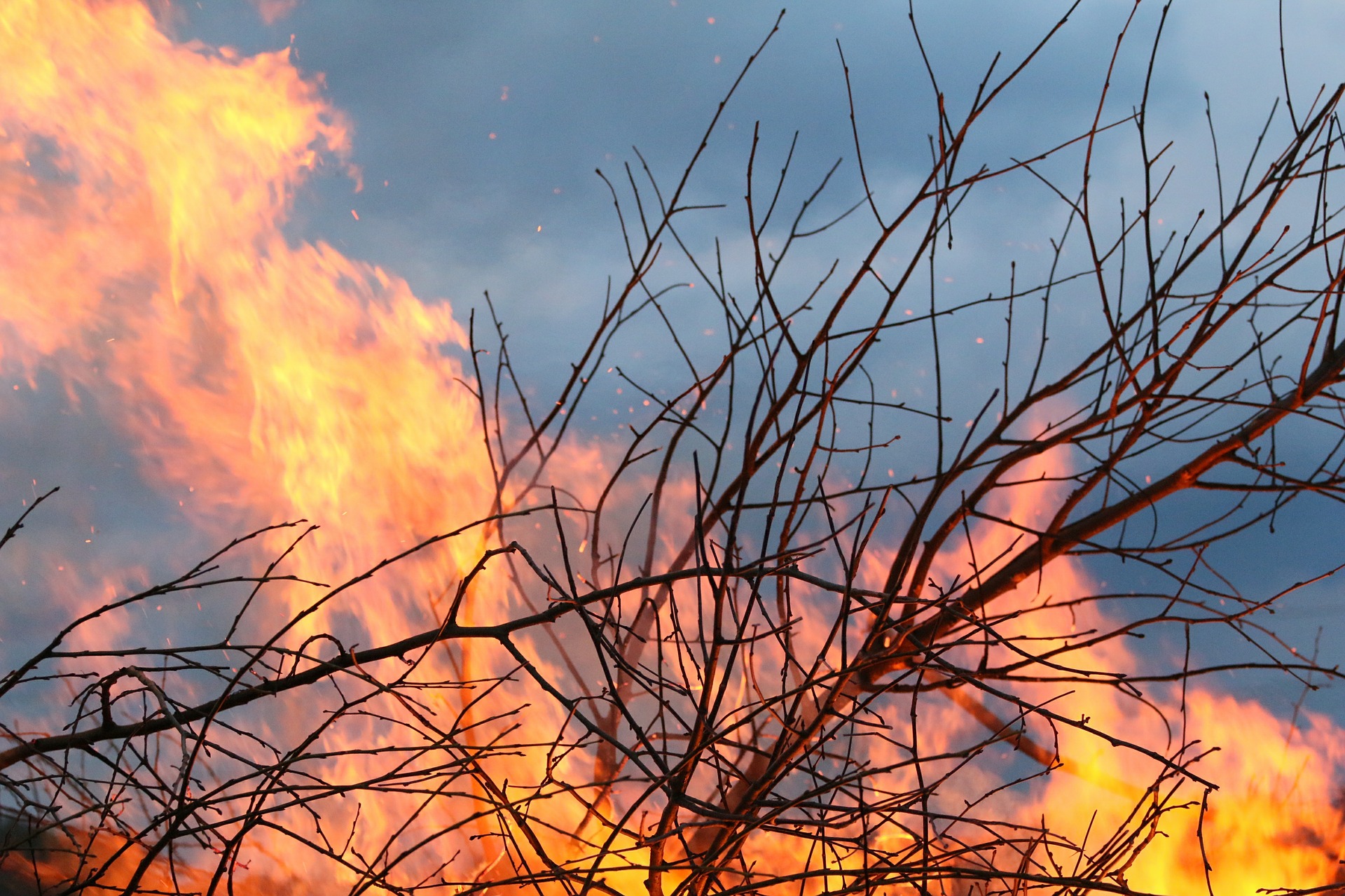 Bush Fire