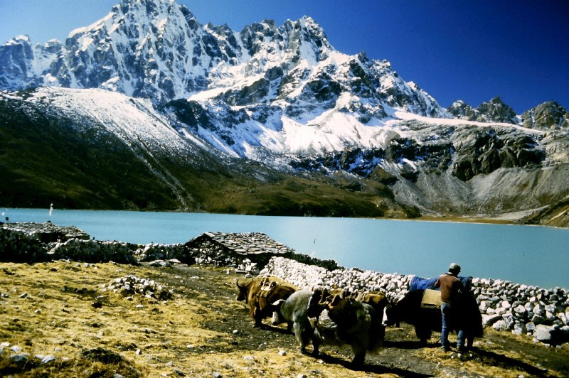 Nepal Travel Guide