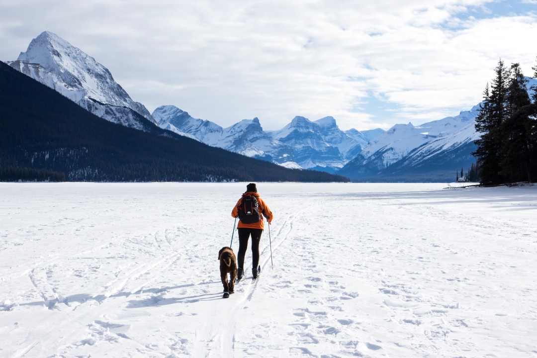 man walking dog on frozen lake in jasper canada