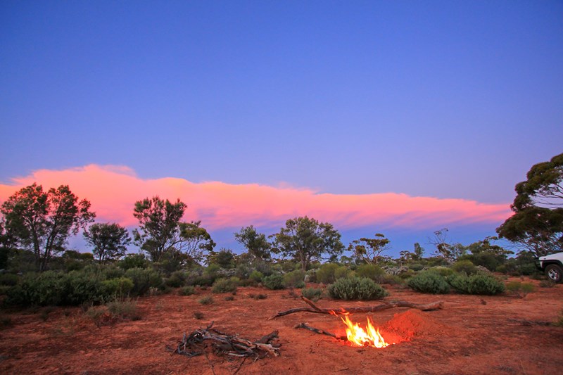 Travel within Australia and Support Bushfire Affected Destinations