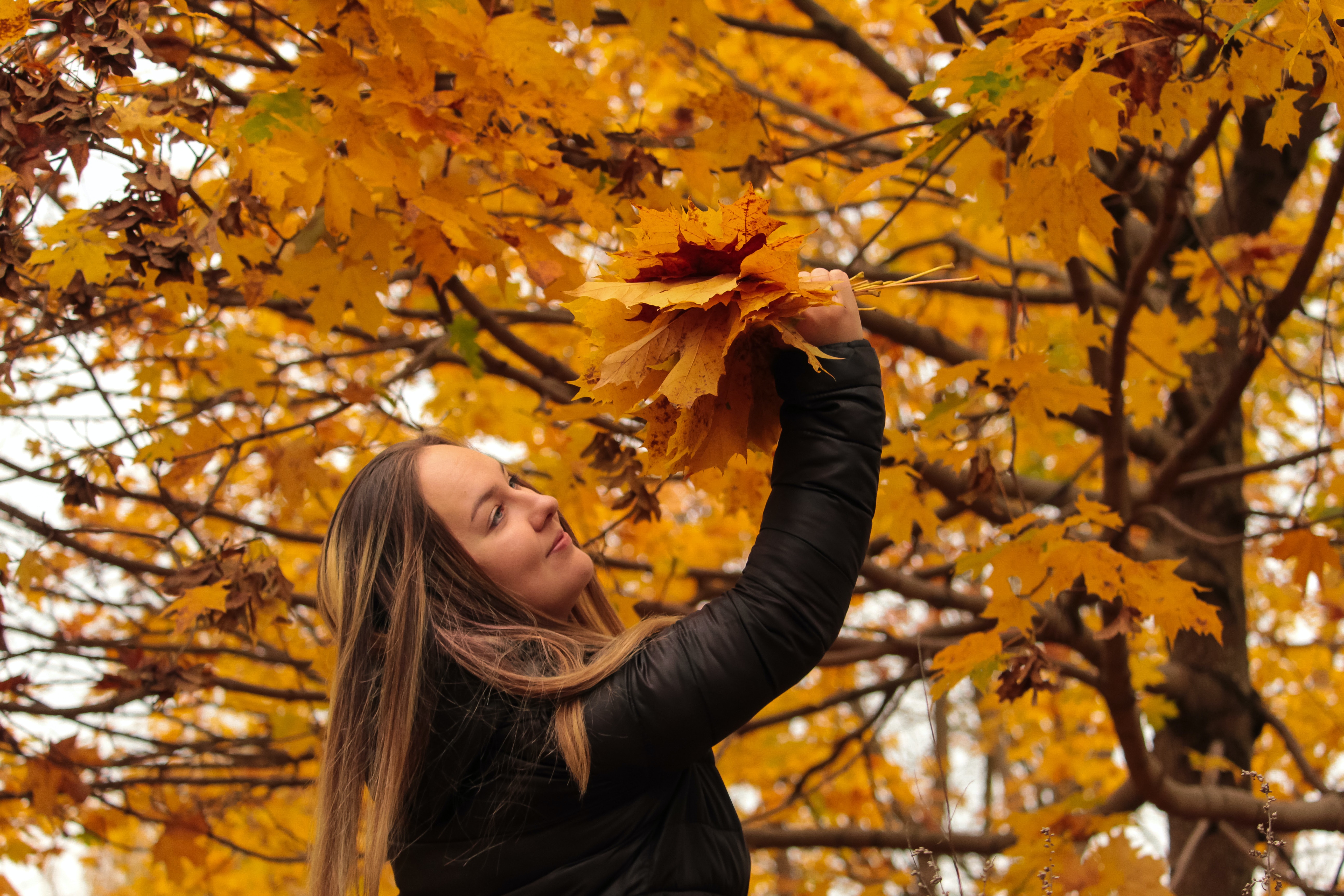 woman admiring autumn leaves on a tree