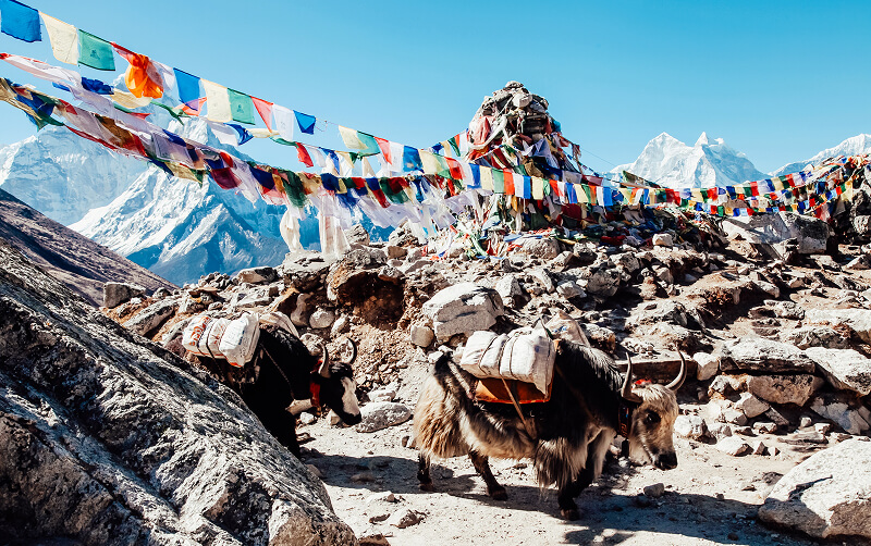 view of everest base camp in nepal