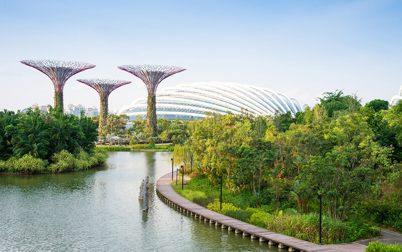 supertree grove in Singapore