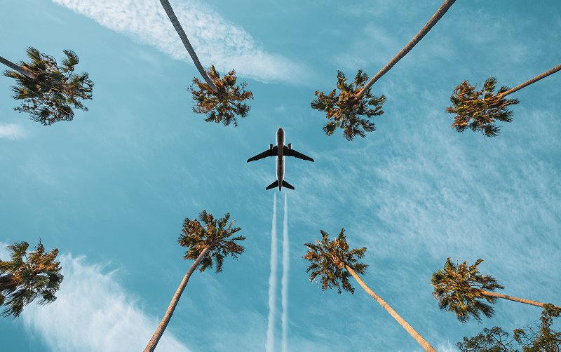 airplane flying above palm trees